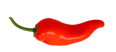 small_chili 1.png